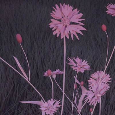 金沙乐娱场app下载app下载