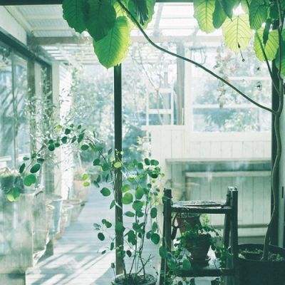 单机的打鱼游戏