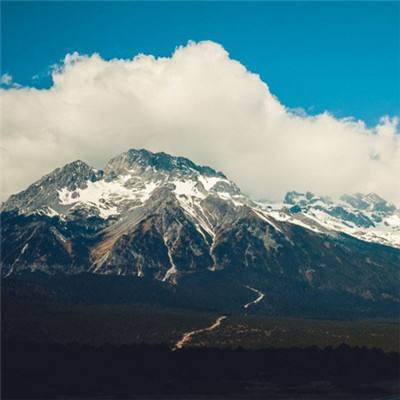 天下彩网站下载手机版