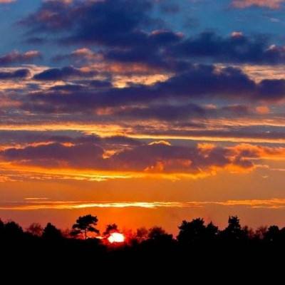 金沙集团9500官网下载手机版