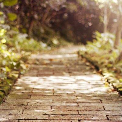 金沙集团1862cc成色产品